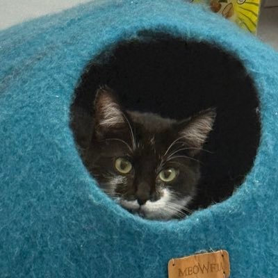 melinachaneleci's profile picture. 