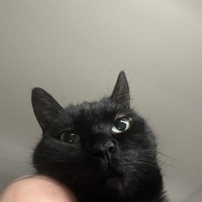 _Bridgett_H's profile picture. 