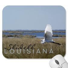 iSupport985's profile picture. Founder of iSupport985; With your help, Supporting and Helping Promote: Local Fund Raisers, Organizations, Business, and Artists for Positive Growth Only.