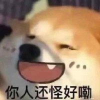 凄凄切切千秋万代 (@qinzhishun) 's Twitter Profile