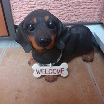 ハバタキのプロフィール写真