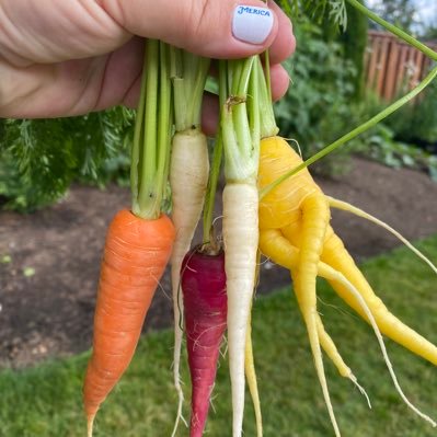 mommypdx21's profile picture. mother of 2. small business owner in pdx. awake not woke. 🇺🇸