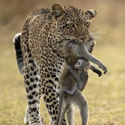 RealLif53973640's profile picture. Everyone was hurt!