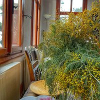 Keaton Emard (@kemard86705) 's Twitter Profile