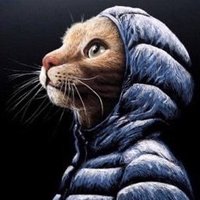 pedro (@amooliviarodrig) 's Twitter Profile