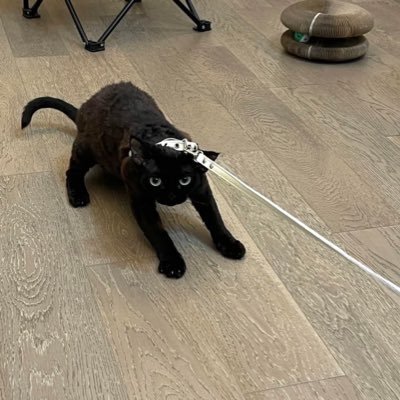 difngy1's profile picture. 只是万分之一