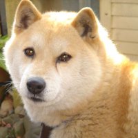 ルータロー (@luutarou_000) 's Twitter Profile Photo ルータロー (@luutarou_000) 's Twitter Profile Photo