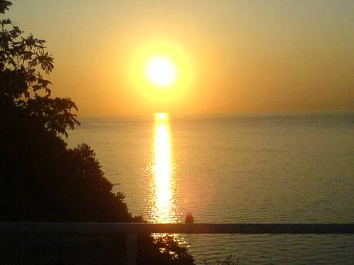 bostjant1's profile picture. 