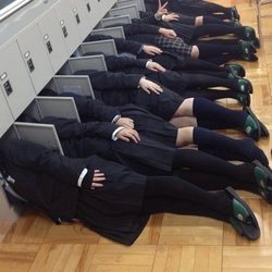 webspider2l's profile picture. 