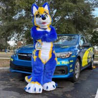 Impreza (@imprezathewolf) 's Twitter Profile Photo Impreza (@imprezathewolf) 's Twitter Profile Photo