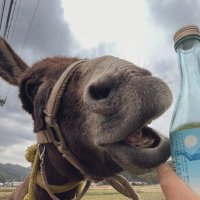 デス吉 (@sentya358) 's Twitter Profile