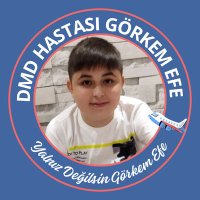 Görkem Efe (@dmdgorkemefe) 's Twitter Profile Photo Görkem Efe (@dmdgorkemefe) 's Twitter Profile Photo