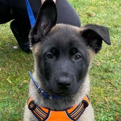 Ericka477248171's profile picture. 