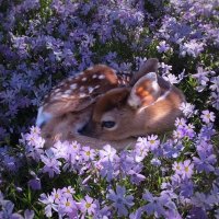 وَهَجْ (@zzr_23) 's Twitter Profile