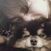 ✩₊˚.⋆ Querencia⋆⁺₊✧ (@querenciabts_) Twitter profile photo ✩₊˚.⋆ Querencia⋆⁺₊✧ (@querenciabts_) Twitter profile photo