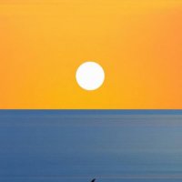 f…in link (@nurediniqa14) 's Twitter Profile