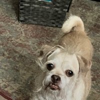 Bug'sSnackDealer (@chartaf) 's Twitter Profile