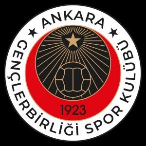 Ankara Yenişehir, FB ve BJK da profesyonel basketbol oynadı.
BAE, Almanya ve Türkiye'de Genel Müdürlükler yaptı İş insanı olarak kariyerine devam ediyor