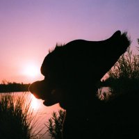 Skaard 🏳️🌈 ΘΔ (@skaardd) 's Twitter Profile