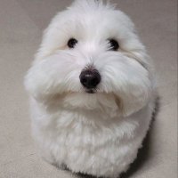 synx (@synxvlrt) 's Twitter Profile Photo synx (@synxvlrt) 's Twitter Profile Photo