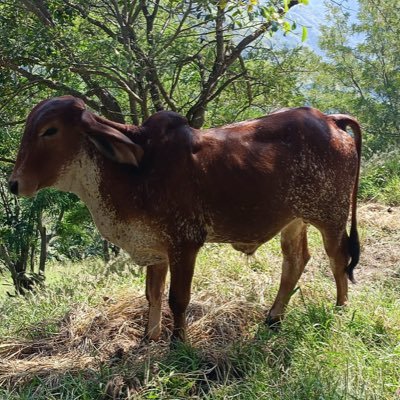 Eduar7064940065's profile picture. 