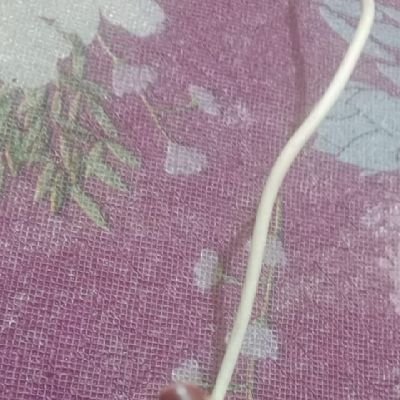 gendham's profile picture. Kesuksesan adalah pengoptimalan suatu kelebihan,
kegagalan adalah akumulasi dari segala kekurangan