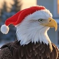 MattyMattH (@mattybased86) 's Twitter Profile