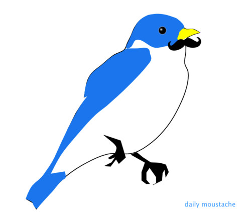 Dailymoustaches's profile picture. This is a project to make, photograph, or draw a moustache or moustache-themed thing every day. 90 days and counting!