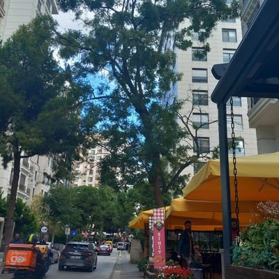 sbelselcuk's profile picture. 