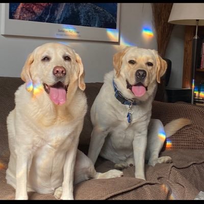 thrillsseeker's profile picture. I got a red “U” for conduct in the 2nd grade. Says it all.