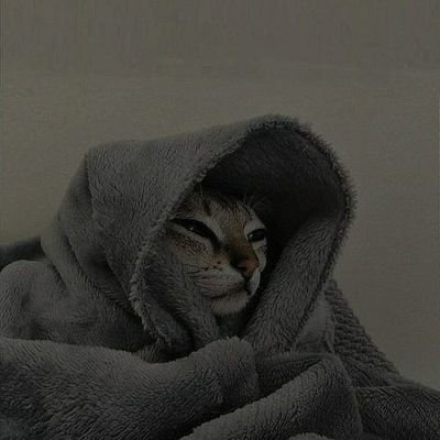 Neli_nasa's profile picture. 