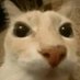 Ivan GG (@ivangonzle86983) Twitter profile photo Ivan GG (@ivangonzle86983) Twitter profile photo
