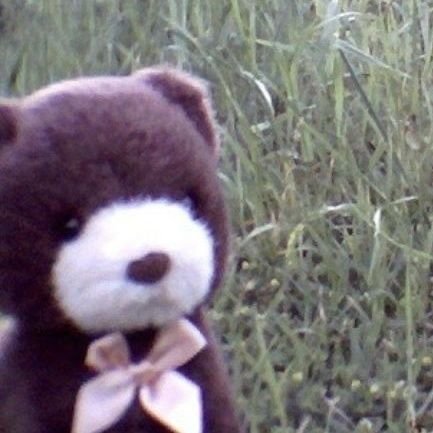 sadclowndiary's profile picture. u can call me user193837