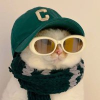 Top Christ Following Man of The Year (@333halfwaycrook) 's Twitter Profile Photo Top Christ Following Man of The Year (@333halfwaycrook) 's Twitter Profile Photo