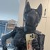 Zahara Furry (@zahara_furry) Twitter profile photo Zahara Furry (@zahara_furry) Twitter profile photo