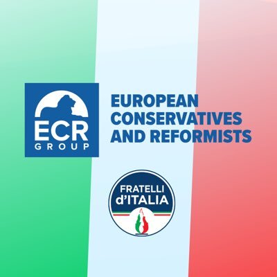 Delegazione italiana di Fratelli d'Italia al Parlamento europeo nel Gruppo dei Conservatori e Riformisti Europei.