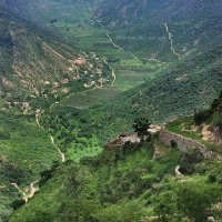 aheed (@alhsnyrwhallh) 's Twitter Profile