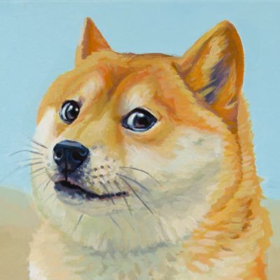 DoktorMeduza's profile picture. 