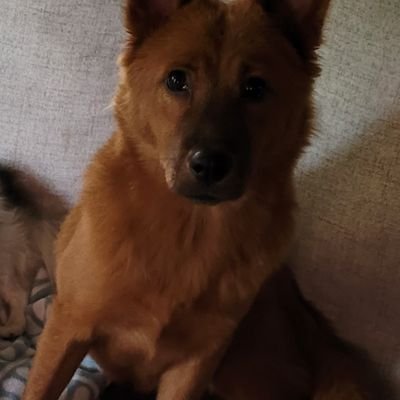 miko19761975's profile picture. btc, sol, onchain, memes, love crypto space, weed out the bullshit, there is quality here, learn, grow, patience