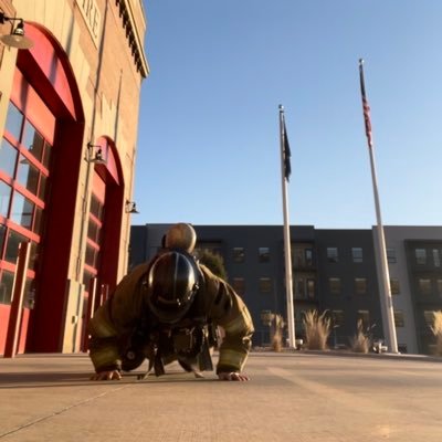 bbelone's profile picture. | NIKE | LFD/LPFD | Coach | views are my own