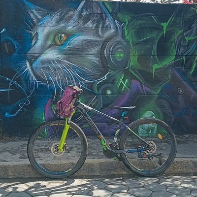 señito en bici, profesor de CI y aduanas, parámedico voluntario. capacitador Menstrual 😻