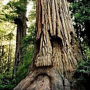 sahaysatij's profile picture. Я рыбалов любитель