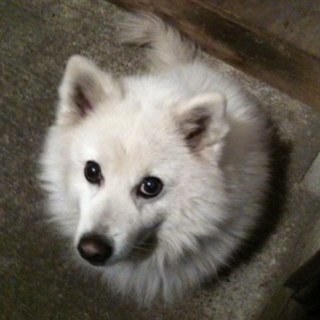 Frbek's profile picture. ほぼ見てるだけ…