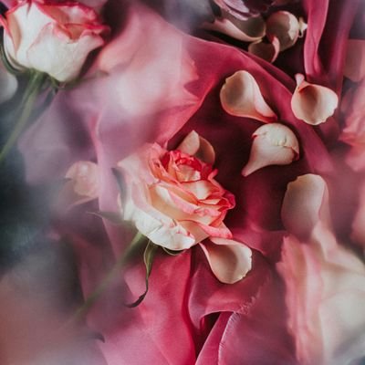 Cɾҽαƚσɾ σϝ ɱσɱҽɳƚʂ||ʟᴇᴀʀɴɪɴɢ, ɢʀᴏᴡɪɴɢ, ᴀɴᴅ ᴇᴠᴏʟᴠɪɴɢ ᴇᴠᴇʀʏ ᴅᴀʏ||MAGA||MAHA||𝟙𝟘𝟘% 𝕗𝕓