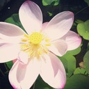 Samuel Corbin - @SamuelCorbin - Twitter