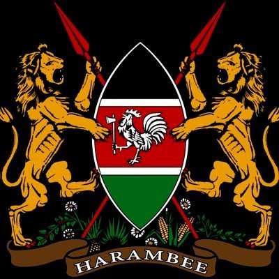 Robinmurithi6's profile picture. A young Kenyan who is well informed and ready to do whatever it takes prosper 

A patriotic Kenyan who is ready to promote change in the country 🇰🇪🇰🇪