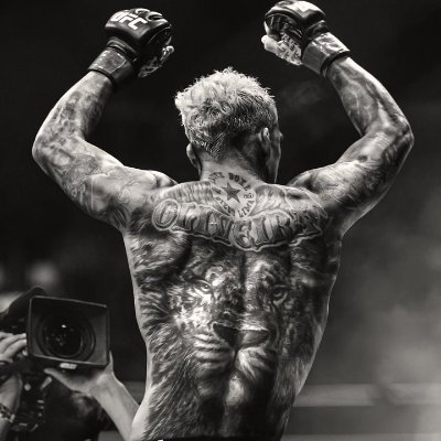 Alabinha_1's profile picture. Estudante de Jornalismo 2/8,Humorista,Comentarista Esportivo E De Reality show, Torcedor Do Flamengo,fã de UFC
e Esperando Alguém Para Chamar De Rocambole