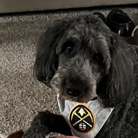 2025 Nuggets - Pull the Rope (@dlynch_esq) 's Twitter Profile Photo