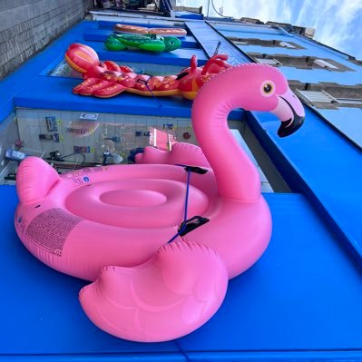 cecfd1's profile picture. 