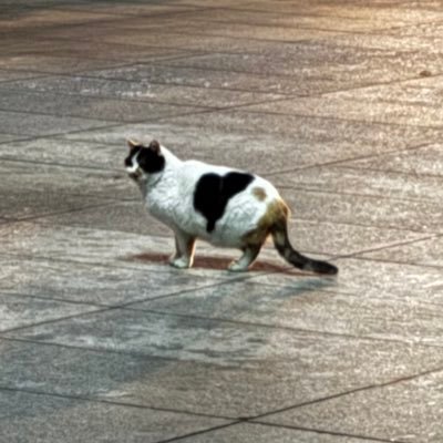 ssssadssssave's profile picture. 